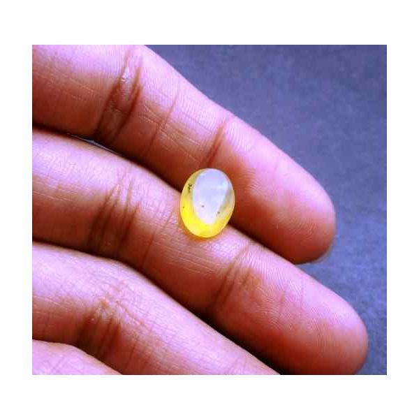 2.71 Carat Natural Chrysoberyl Opal Cat's Eye 11.01 x 7.99 x 5.45 mm