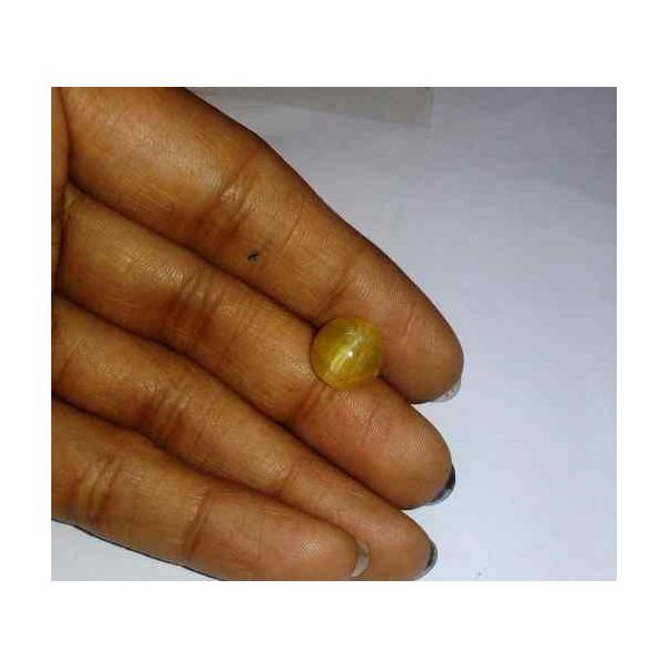 3.56 Carat Yellow Kanak Khet Chrysoberyl Cat's Eye 9.75 x 9.69 x 6.47 mm