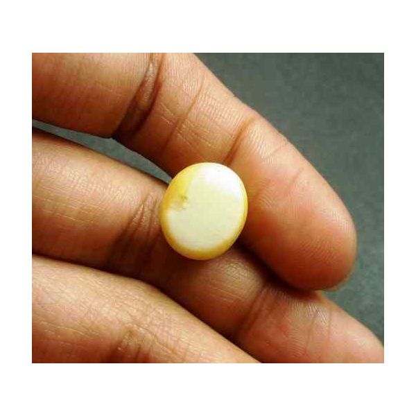 8.72 Carat Natural Chrysoberyl Opal Cat's Eye 13.40 x 11.65 x 8.15 mm