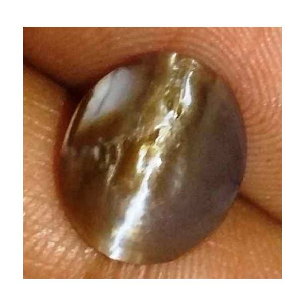 2.32 Carat Yellowish Brown  Kanak Khet Chrysoberyl Cat's Eye 10.21 x 8.69 x 4.69 mm