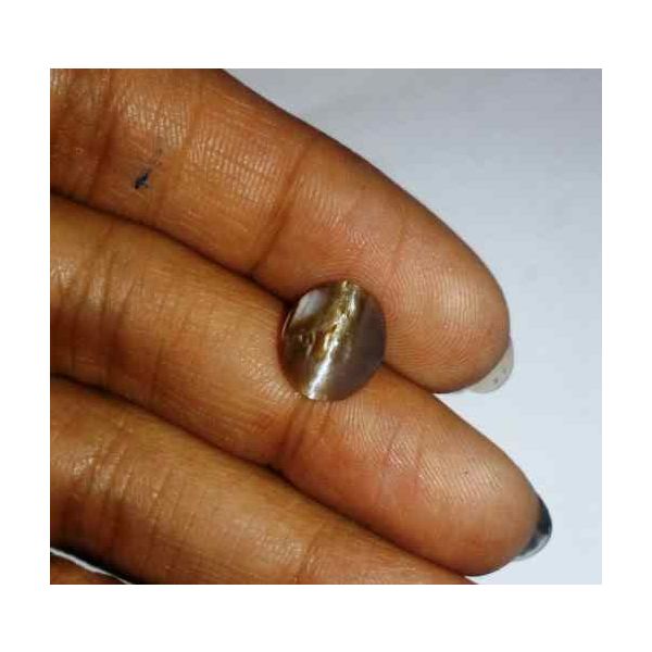 2.32 Carat Yellowish Brown  Kanak Khet Chrysoberyl Cat's Eye 10.21 x 8.69 x 4.69 mm