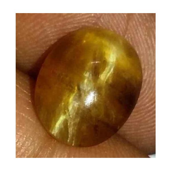 3.22 Carat Yellowish Brown  Kanak Khet Chrysoberyl Cat's Eye 11.08 x 8.70 x 5.45 mm