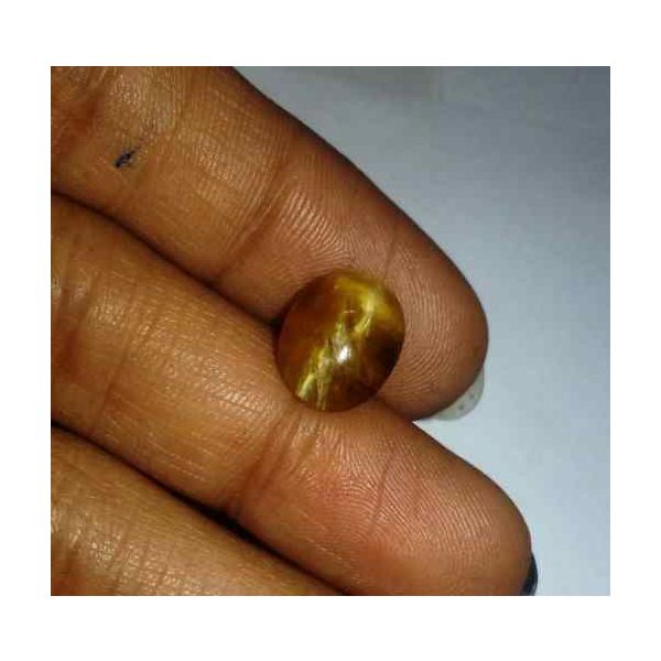 3.22 Carat Yellowish Brown  Kanak Khet Chrysoberyl Cat's Eye 11.08 x 8.70 x 5.45 mm