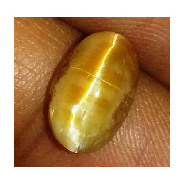 3.05 Carat Yellowish Brown  Kanak Khet Chrysoberyl Cat's Eye 10.69 x 9.71 x 5.36 mm