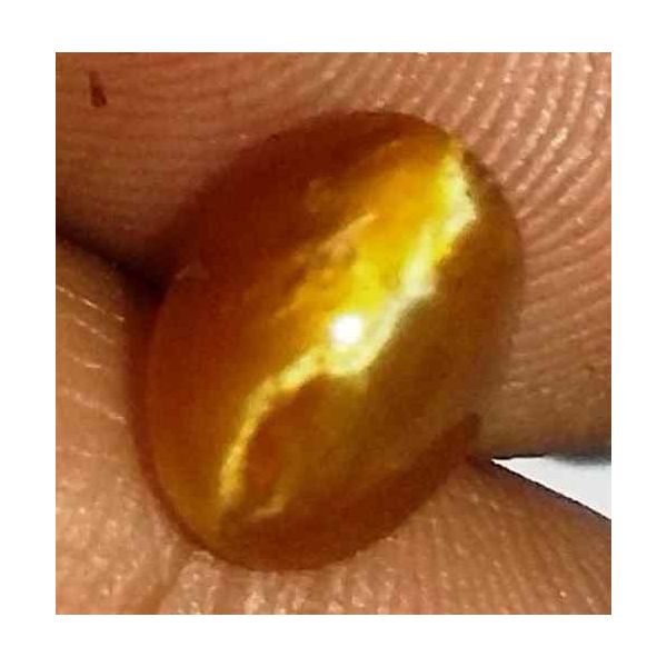 1.47 Carat Yellowish Brown  Kanak Khet Chrysoberyl Cat's Eye 8.13 x 6.39 x 4.86 mm