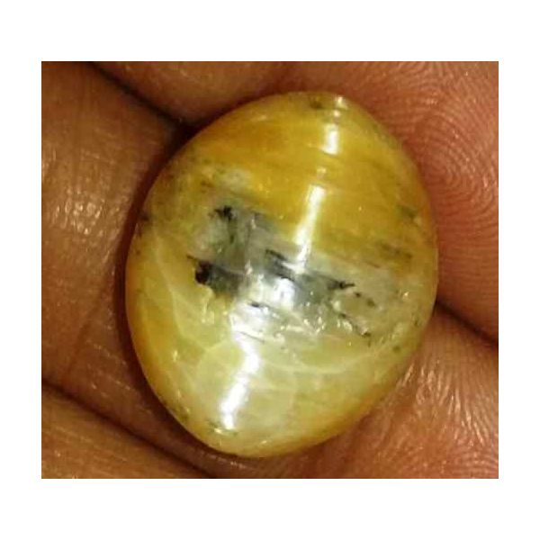 11.83 Carat Orangish Yellow Kanak Khet Chrysoberyl Cat's Eye 16.66 x 13.99 x 8.62 mm