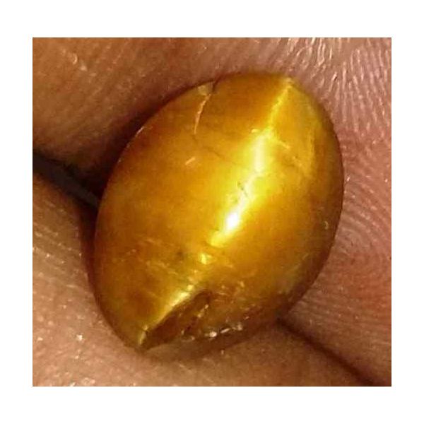 3.06 Carat Orangish Yellow Kanak Khet Chrysoberyl Cat's Eye 11.09 x 8.19 x 6.32 mm