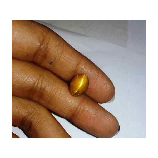 3.06 Carat Orangish Yellow Kanak Khet Chrysoberyl Cat's Eye 11.09 x 8.19 x 6.32 mm