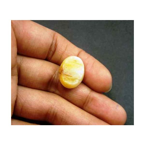 11.31 Carat Natural Chrysoberyl Opal Cat's Eye 17.68 x 13.11 x 8.88 mm