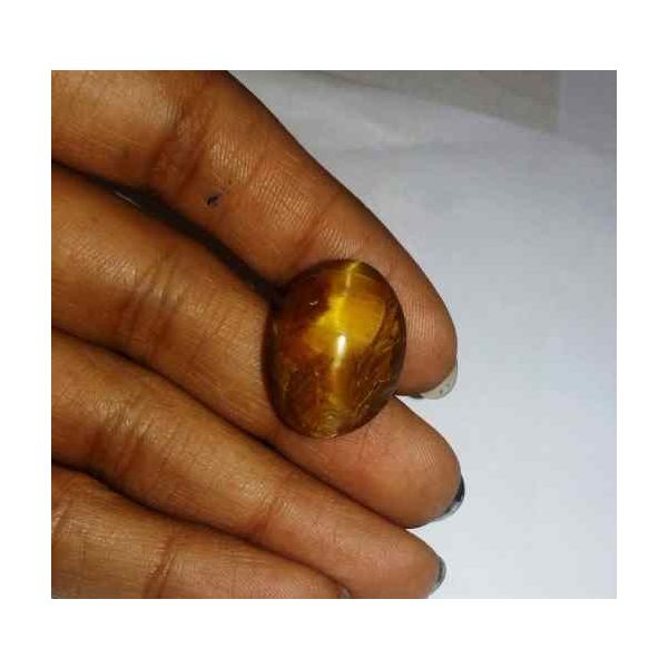 16.49 Carat Orangish Yellow Kanak Khet Chrysoberyl Cat's Eye 20.32 x 15.56 x 9.48 mm