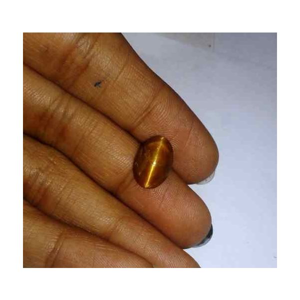 3.12 Carat Orangish Yellow Kanak Khet Chrysoberyl Cat's Eye 11.67 x 7.94 x 5.81 mm