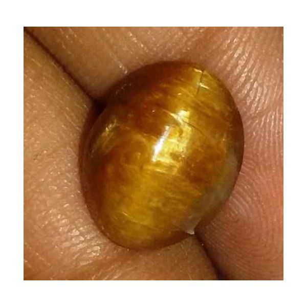 5.36 Carat Orangish Yellow Kanak Khet Chrysoberyl Cat's Eye 12.30 x 9.63 x 7.24 mm