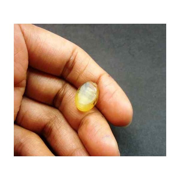 6.87 Carat Orangish Yellow Kanak Khet Chrysoberyl Cat's Eye 14.65 x 10.14 x 8.26 mm