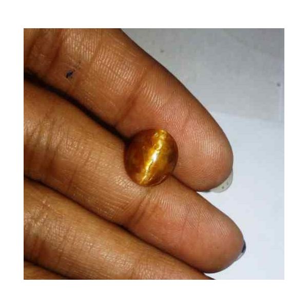 2.87 Carat Orangish Yellow Kanak Khet Chrysoberyl Cat's Eye 10.34 x 8.92 x 5.66 mm