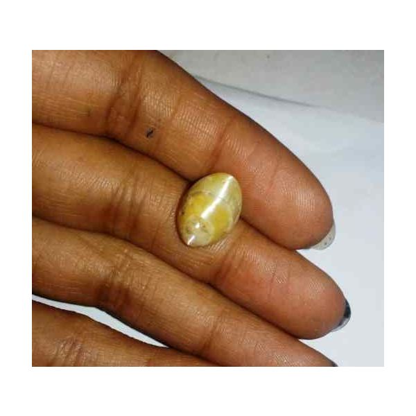 4.9 Carat Orangish Yellow Kanak Khet Chrysoberyl Cat's Eye 13.47 x 9.51 x 7.10 mm