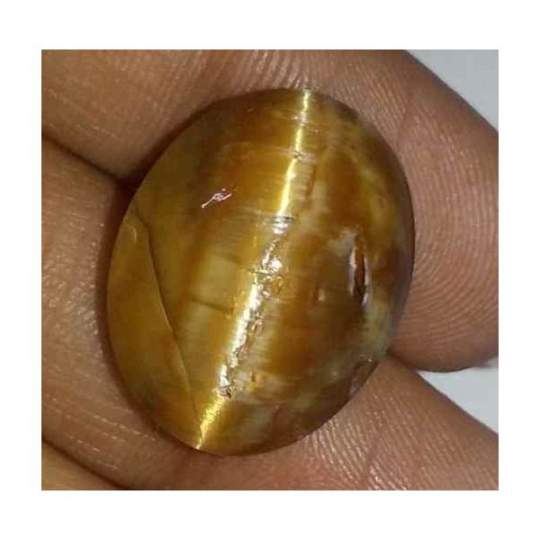 15.2 Carat Orangish Yellow Kanak Khet Chrysoberyl Cat's Eye 18.96 x 15.04 x 9.85 mm