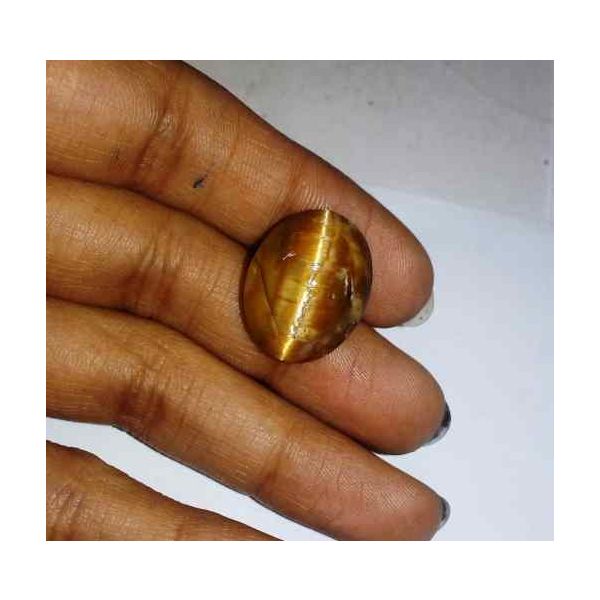 15.2 Carat Orangish Yellow Kanak Khet Chrysoberyl Cat's Eye 18.96 x 15.04 x 9.85 mm