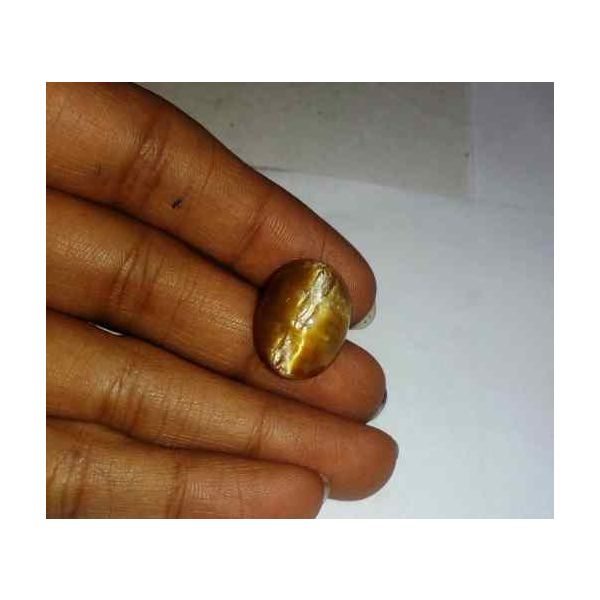 17.01 Carat Orangish Yellow Kanak Khet Chrysoberyl Cat's Eye 17.38 x 13.21 x 12.66 mm