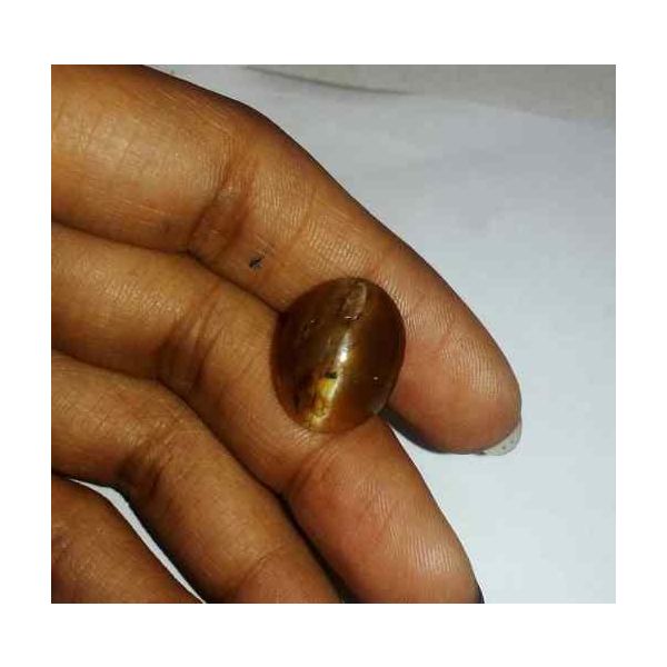 9.62 Carat Orangish Yellow Kanak Khet Chrysoberyl Cat's Eye 16.51 x 13.00 x 7.84 mm