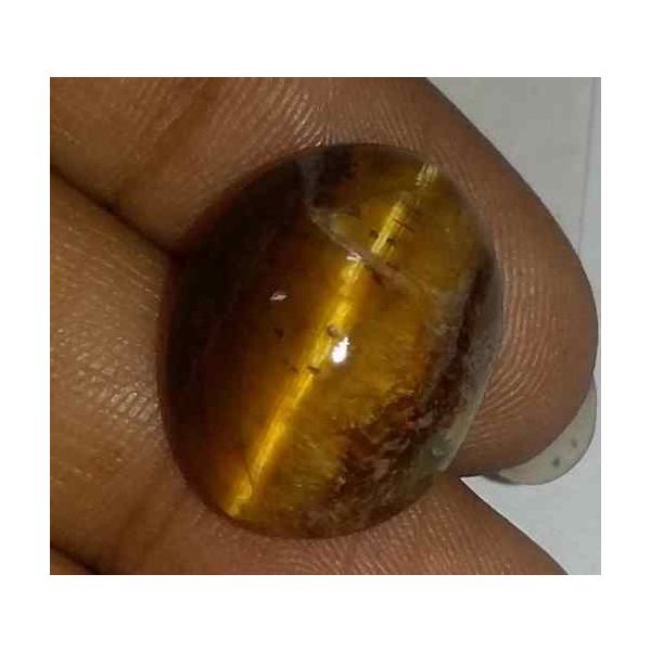 12.58 Carat Orangish Yellow Kanak Khet Chrysoberyl Cat's Eye 17.51 x 13.82 x 9.29 mm