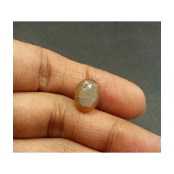 3.59 Carat Natural Chrysoberyl Opal Cat's Eye 11.76 x 8.76 x 6.81 mm