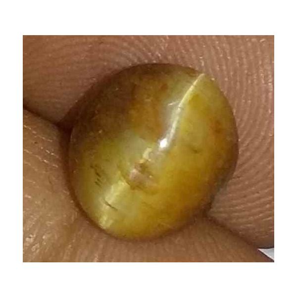 2.59 Carat Orangish Yellow Kanak Khet Chrysoberyl Cat's Eye 8.95 x 8.27 x 5.97 mm