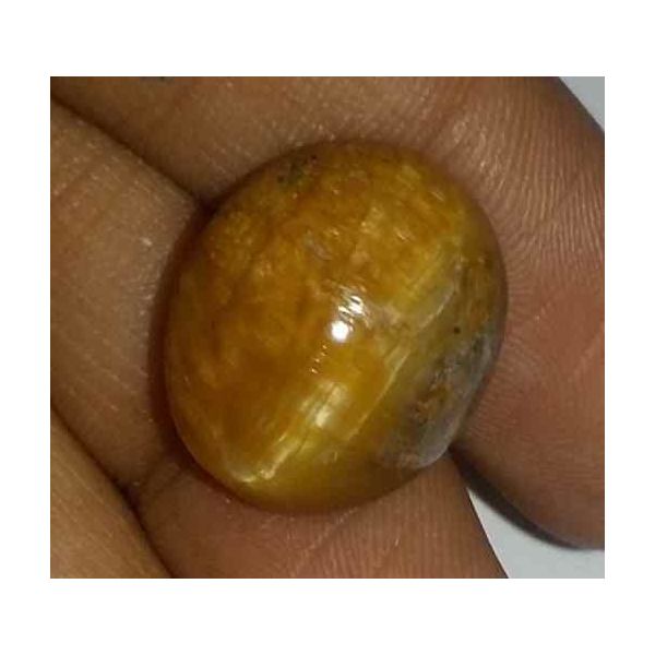 10.87 Carat Orangish Yellow Kanak Khet Chrysoberyl Cat's Eye 15.90 x 13.53 x 8.27 mm