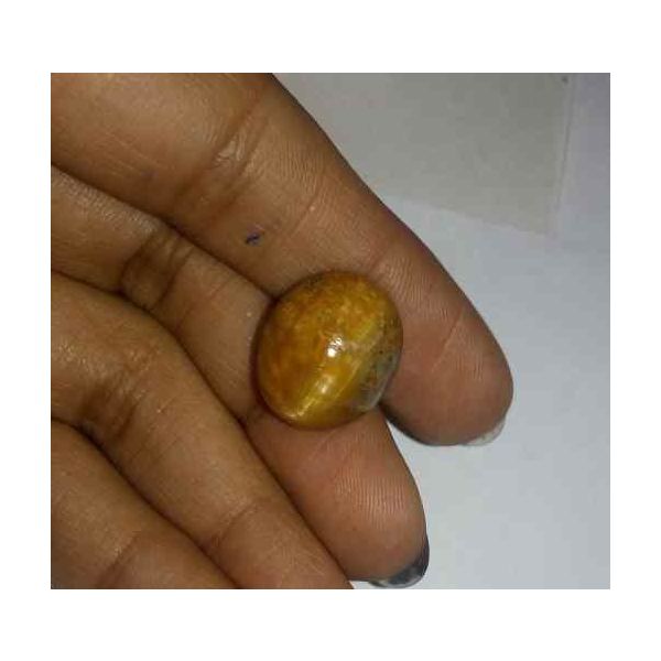 10.87 Carat Orangish Yellow Kanak Khet Chrysoberyl Cat's Eye 15.90 x 13.53 x 8.27 mm