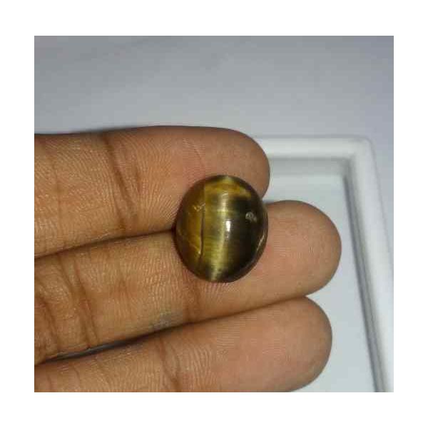 11.11 Carat Orangish Yellow Kanak Khet Chrysoberyl Cat's Eye 14.92 x 13.07 x 7.86 mm