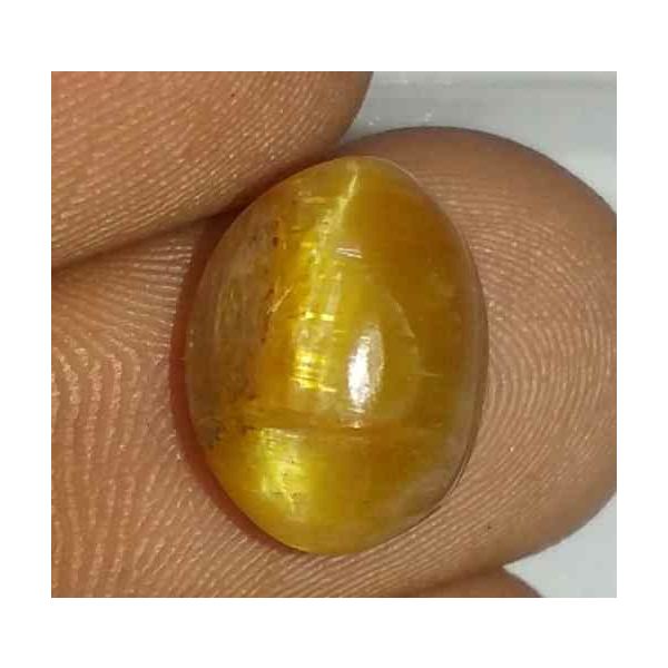 4.33 Carat Orangish Yellow Kanak Khet Chrysoberyl Cat's Eye 11.88 x 9.34 x 6.60 mm