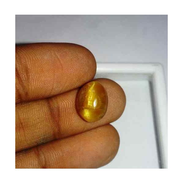 4.33 Carat Orangish Yellow Kanak Khet Chrysoberyl Cat's Eye 11.88 x 9.34 x 6.60 mm