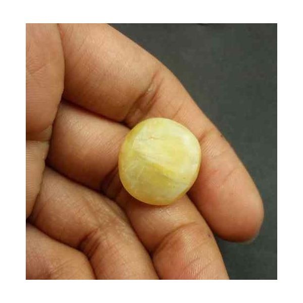 18.71 Carat Natural Chrysoberyl Opal Cat's Eye 19.12 x 17.19 x 10.88 mm