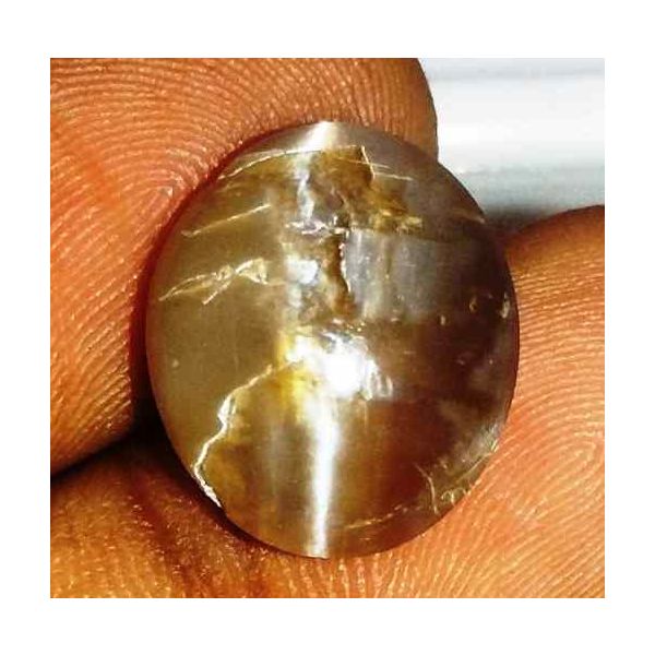 6.39 Carat Orangish Yellow Kanak Khet Chrysoberyl Cat's Eye 14.47 x 12.46 x 6.37 mm