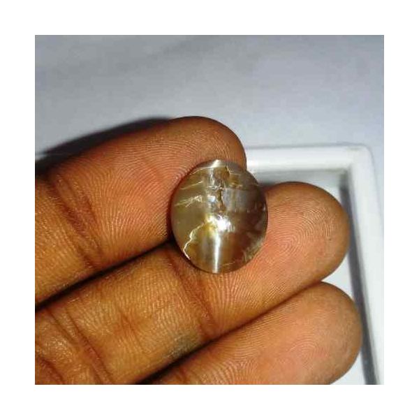 6.39 Carat Orangish Yellow Kanak Khet Chrysoberyl Cat's Eye 14.47 x 12.46 x 6.37 mm