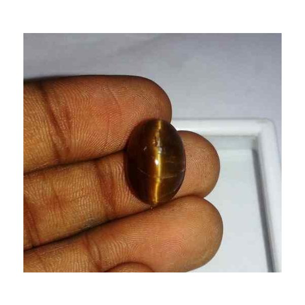 8.51 Carat Orangish Yellow Kanak Khet Chrysoberyl Cat's Eye 15.99 x 11.20 x 8.86 mm
