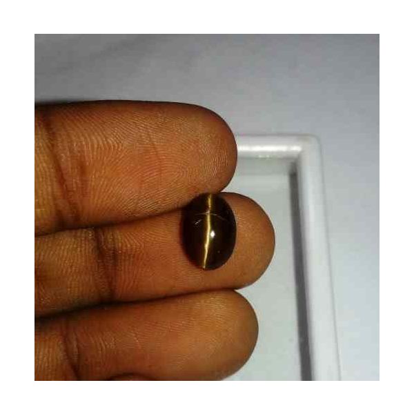 4.4 Carat Orangish Yellow Kanak Khet Chrysoberyl Cat's Eye 10.14 x 11.06 x 5.52 mm