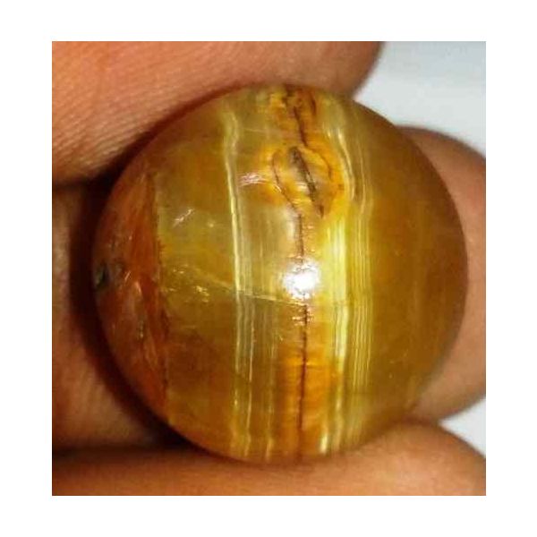 16.53 Carat Orangish Yellow Kanak Khet Chrysoberyl Cat's Eye 16.24 x 16.04 x 9.96 mm