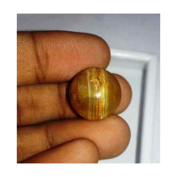 16.53 Carat Orangish Yellow Kanak Khet Chrysoberyl Cat's Eye 16.24 x 16.04 x 9.96 mm