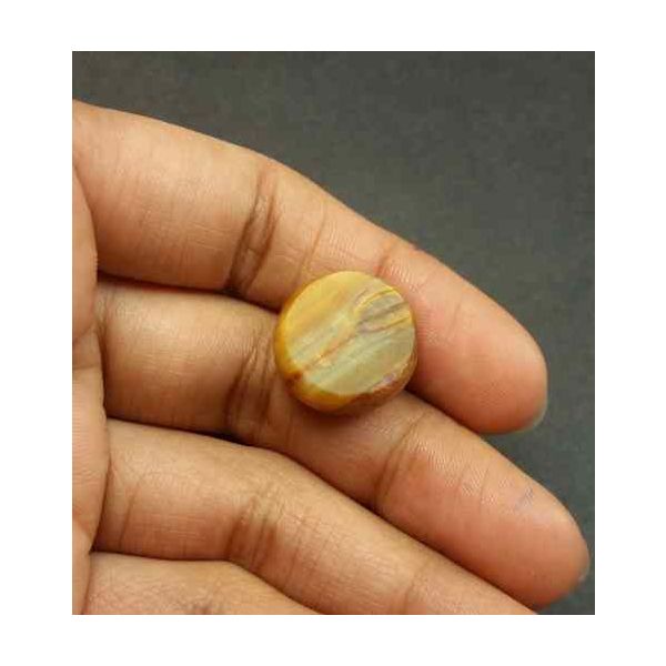 16.53 Carat Natural Chrysoberyl Opal Cat's Eye 16.24 x 16.04 x 9.96 mm