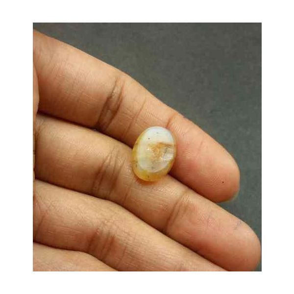 6.22 Carat Natural Chrysoberyl Opal Cat's Eye 20.19 x 10.70 x 7.12 mm