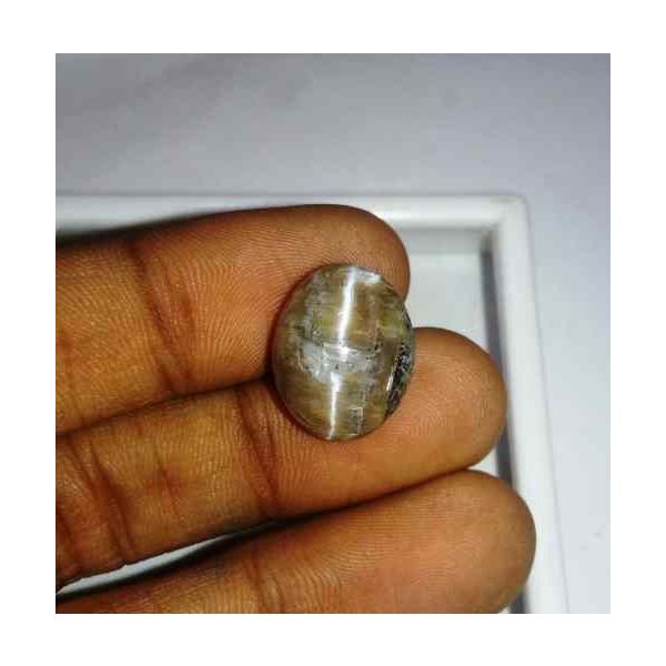 9.19 Carat Grey Kanak Khet Chrysoberyl Cat's Eye 15.80 x 12.68 x 8.20 mm