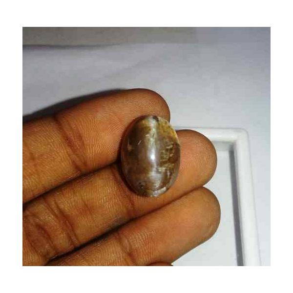 16.2 Carat Grey Kanak Khet Chrysoberyl Cat's Eye 17.82 x 13.10 x 11.65 mm