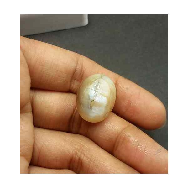 14.25 Carat Natural Chrysoberyl Opal Cat's Eye 19.31 x 14.64 x 9.80 mm