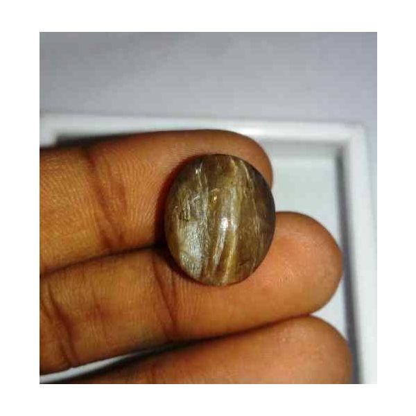 15.3 Carat Grey Kanak Khet Chrysoberyl Cat's Eye 16.20 x 13.86 x 12.50 mm