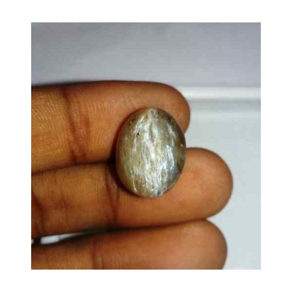 14.95 Carat Grey Kanak Khet Chrysoberyl Cat's Eye 16.74 x 12.98 x 12.08 mm