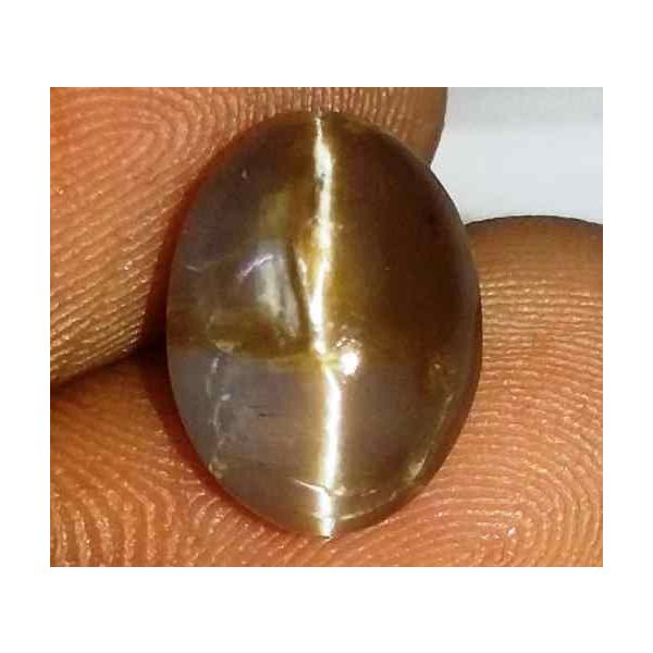 3.38 Carat Grey Kanak Khet Chrysoberyl Cat's Eye 11.57 x 8.72 x 5.94 mm