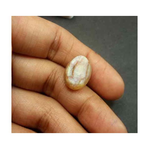 9.41 Carat Natural Chrysoberyl Opal Cat's Eye 15.31 x 11.61 x 9.00 mm