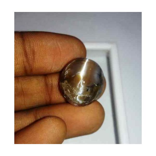 15.95 Carat Grey Kanak Khet Chrysoberyl Cat's Eye 18.19 x 16.72 x 9.92 mm