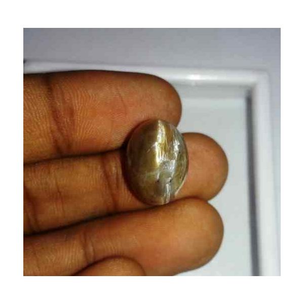 11.67 Carat Grey Kanak Khet Chrysoberyl Cat's Eye 15.74 x 11.62 x 11.26 mm