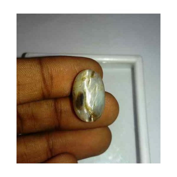 12.79 Carat Grey Kanak Khet Chrysoberyl Cat's Eye 19.19 x 11.88 x 9.23 mm